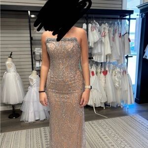 Clarisse Strapless Silver and Nude Dress